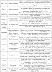 Figure PCTCN2022090268-appb-000041