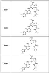 Figure imgf000087_0001