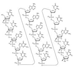 Figure 0007422816000022