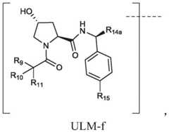 Figure BDA0003027048450001171