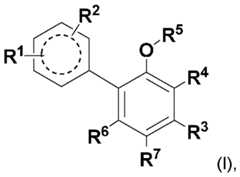 Figure imgf000010_0001