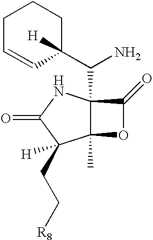 Figure US08394816-20130312-C00023