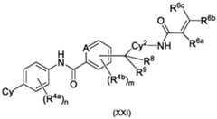 Figure imgf000036_0001