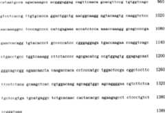 Figure C03824846D01241