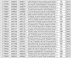 Figure BDA0003282506760001711