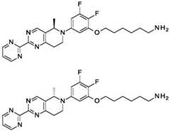 Figure BDA0001455166200001322