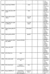 Figure imgf000057_0001