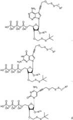 Figure BDA0003670511740002691