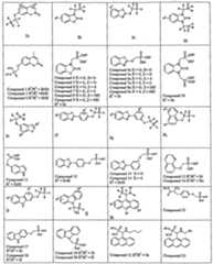 Figure imgf000005_0001