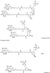 Figure imgf000091_0001