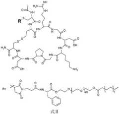 Figure GDA0003055934260000071