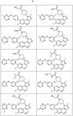 Figure imgf000050_0001