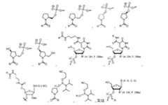 Figure 2023500681000039