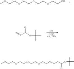 Figure US07872095-20110118-C00019