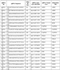 Figure imgf000078_0001