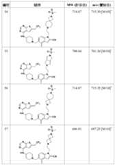 Figure 106108622-A0304-12-0140-338