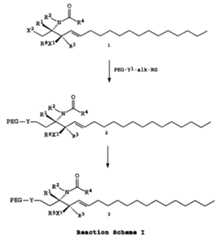 Figure imgf000012_0001