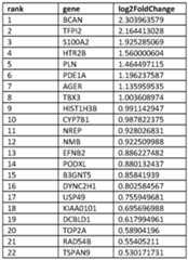 Figure imgf000038_0003