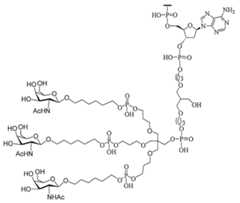 Figure 0007429103000178