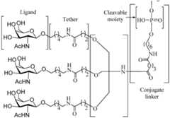 Figure imgf000052_0001