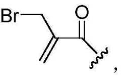 Figure BDA0002889616220000215