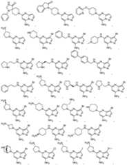 Figure imgf000052_0001