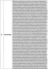 Figure imgf000044_0001