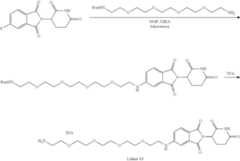 Figure US11969472-20240430-C00239