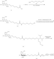 Figure US10683499-20200616-C00244