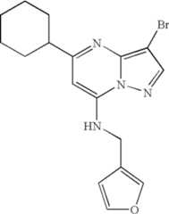 Figure US07119200-20061010-C01281