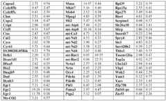 Figure imgf000083_0001