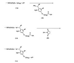 Figure JPOXMLDOC01-appb-C000011