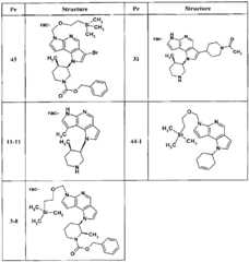 Figure BPA00001446920500981