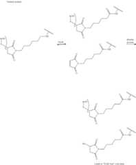 Figure US11492409-20221108-C00028