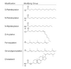 Figure imgf000068_0001