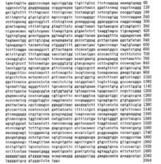 Figure 104109152-A0305-02-0142-37