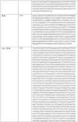 Figure BDA0002591526010000381