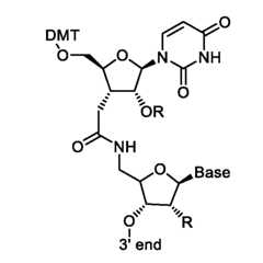 Figure imgf000024_0003
