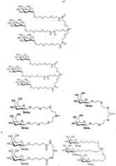 Figure imgf000059_0001