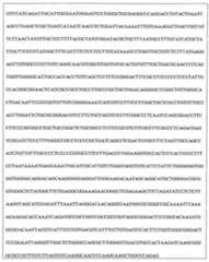 Figure 108128641-A0202-12-0107-955