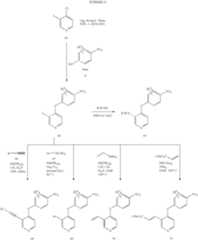 Figure US07714138-20100511-C00020