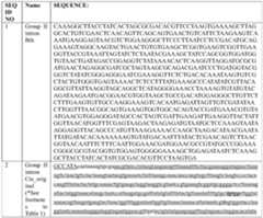 Figure PCTCN2022095749-appb-000003