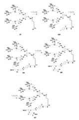 Figure 106103567-A0304-12-0233-220