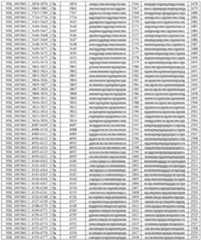 Figure imgf000211_0001