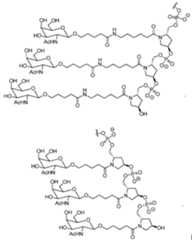 Figure imgf000090_0001