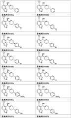 Figure FDA0003289571880000171