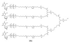 Figure imgf000077_0001