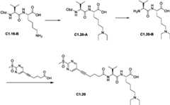 Figure PCTCN2022073822-appb-000534