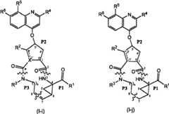 Figure BSA00000676350900181