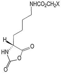 Figure imgf000012_0002
